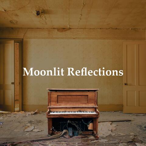 Moonlit Reflections