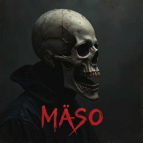 Mäso