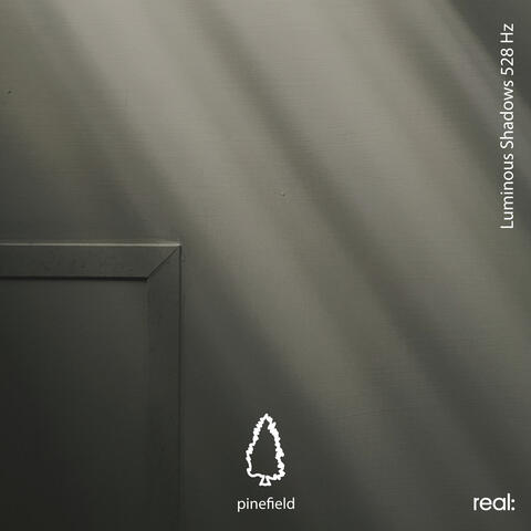 Luminous Shadows 528 Hz