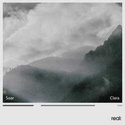 Soar