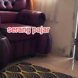 Serang pajar