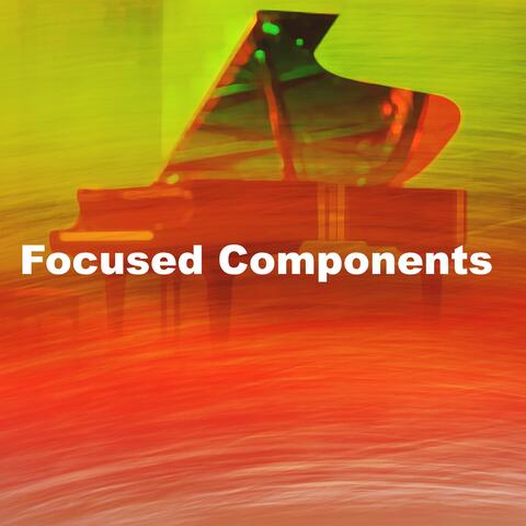 Focused Components