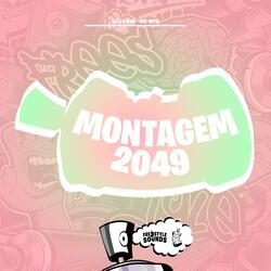 Montagem 2049