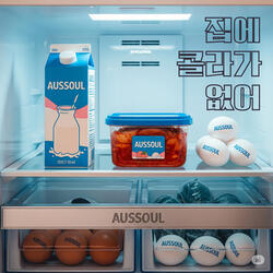 집에 콜라가 없어