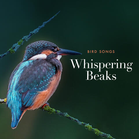 Whispering Beaks