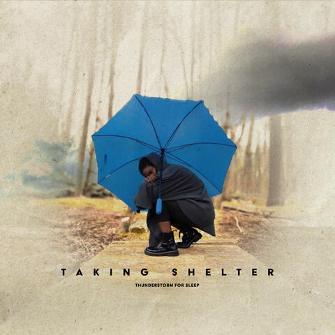 Taking Shelter