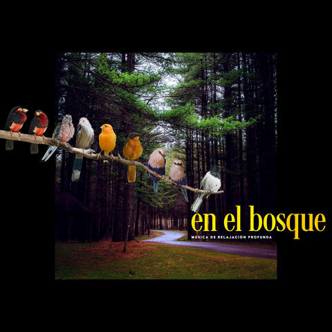 En el Bosque
