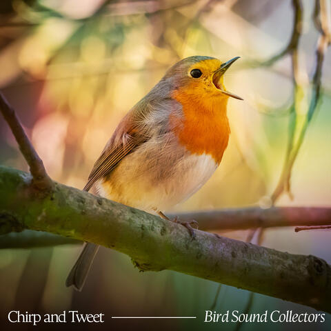 Chirp and Tweet