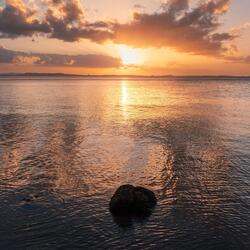 The Tide Within