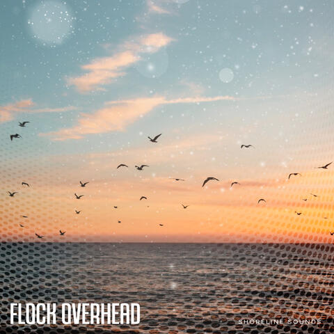 Flock Overhead