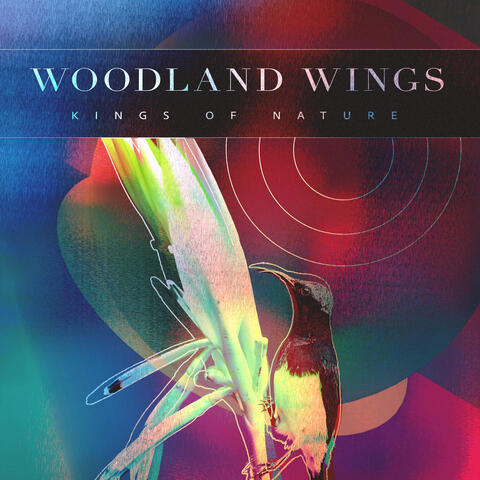Woodland Wings