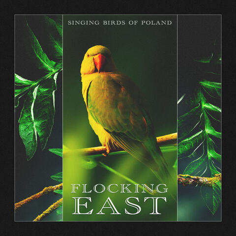 Flocking East