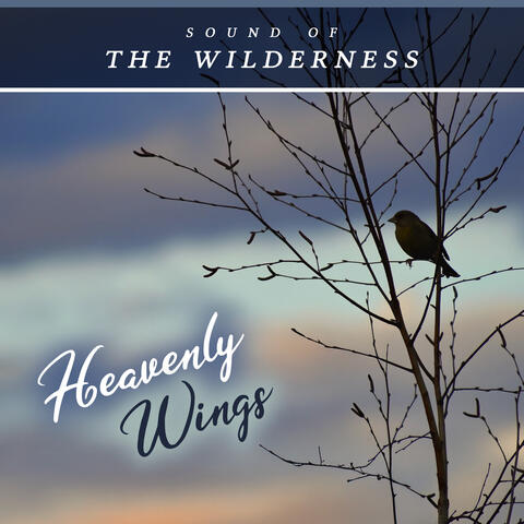 Heavenly Wings