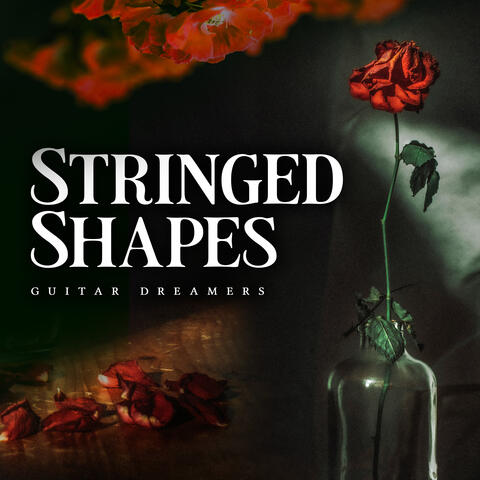 Stringed Shapes