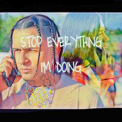 Stop Everything I’m Doing