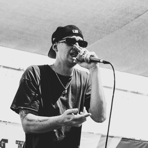 Harmonicas