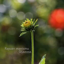 Rayuan manismu