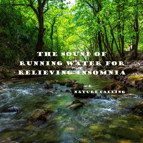 The Sound Of Running Water For Relieving Insomnia