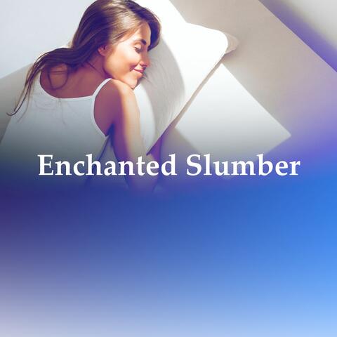 Enchanted Slumber