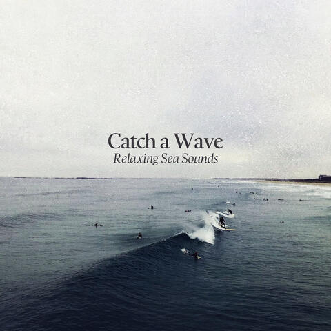 Catch a Wave