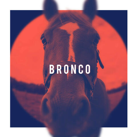 Bronco