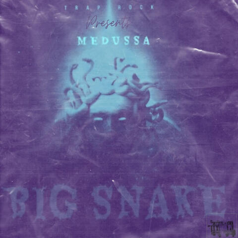 Big $nake