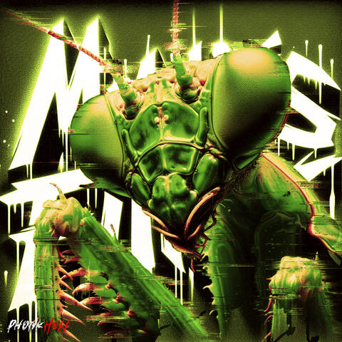 MANTIS FUNK!