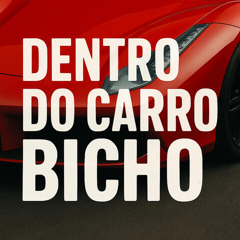 DENTRO DO CARRO BICHO