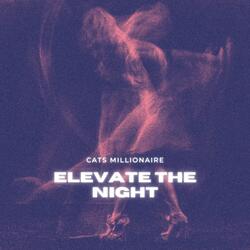 Elevate the Night