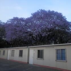 lo que nunca te dije