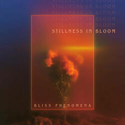 Stillness In Bloom