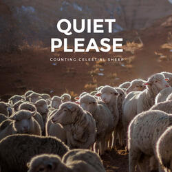 Counting Celestial Sheep