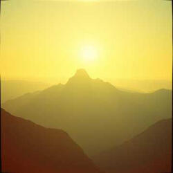 Thy Testimonies Are Sure