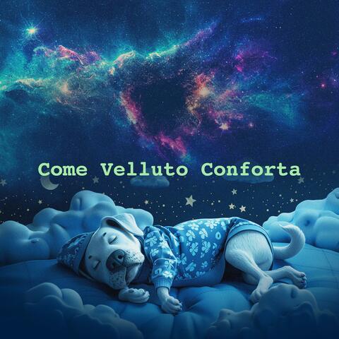 Come Velluto Conforta