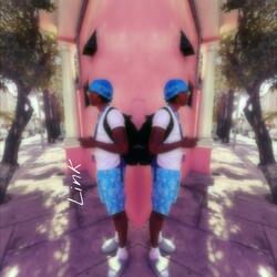 Link