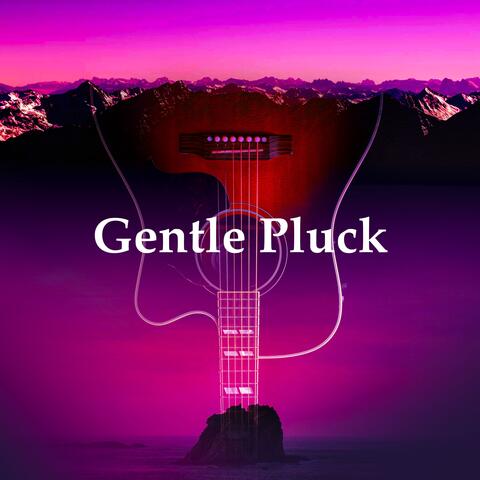 Gentle Pluck