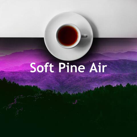 Soft Pine Air