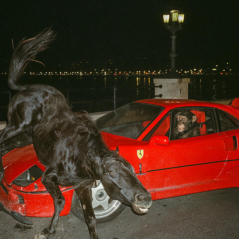 Gara d’Autostima