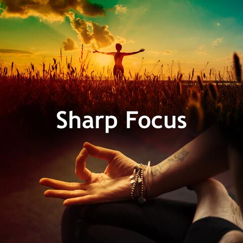 Sharp Focus