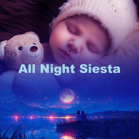 All Night Siesta