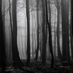 Super Natural - Slowed & Reverbed