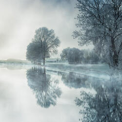 Cold - Slowed & Reverbed