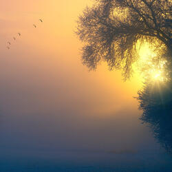 Awakening - Slowed & Reverbed