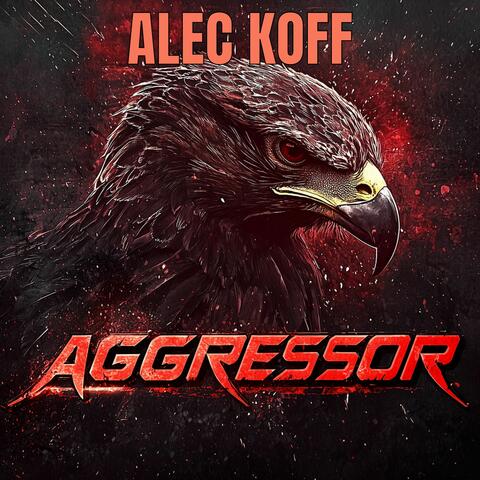 Aggressor