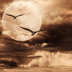 Apathetic - Slowed & Reverbed