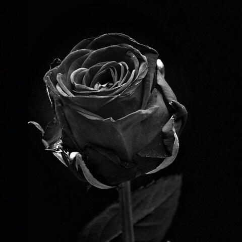 Chapter 0 (Denouement) - Slowed & Reverbed