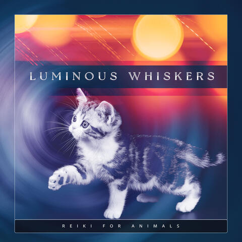 Luminous Whiskers