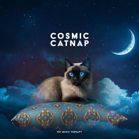 Cosmic Catnap