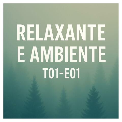 RELAXANTE E AMBIENTE - T01-E01