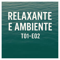 RELAXANTE E AMBIENTE - T01-E02